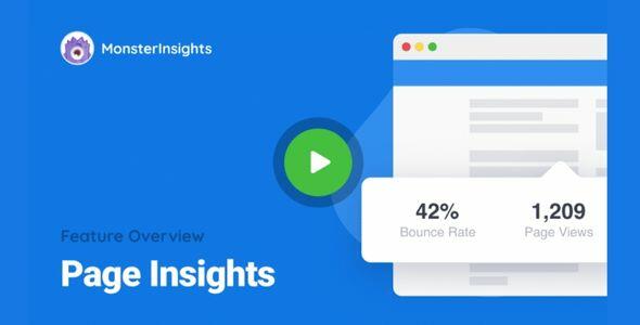 MonsterInsights-AMP-Page-Insights-Addon-GPL