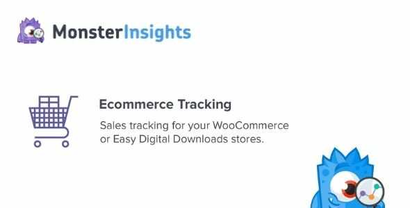 MonsterInsights-eCommerce-Tracking-Addon
