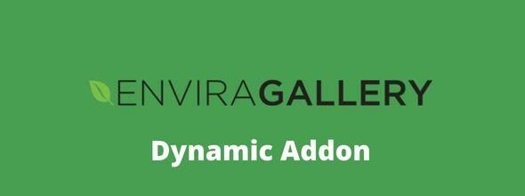 Envira-Gallery-Dynamic-Addon-GPL